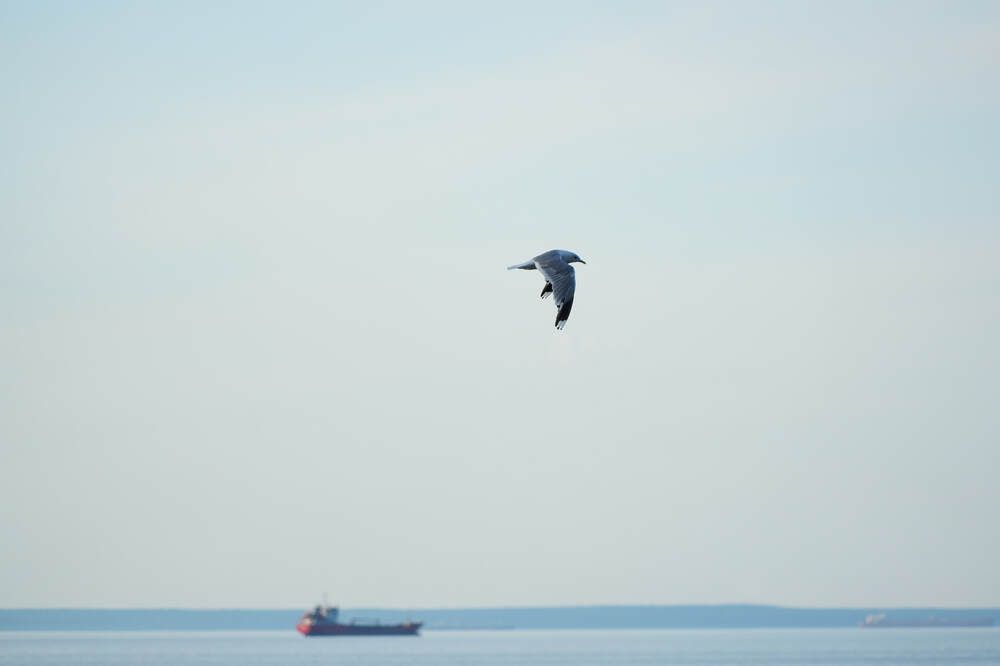 Фотография автора Dana Korolkova