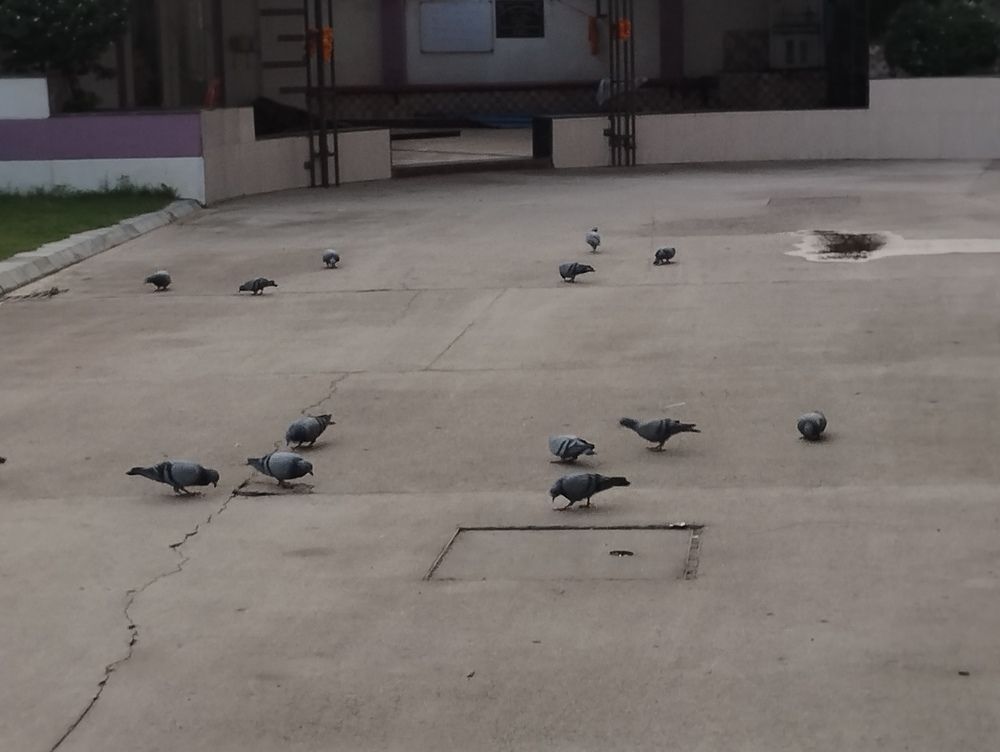Photo #12423722