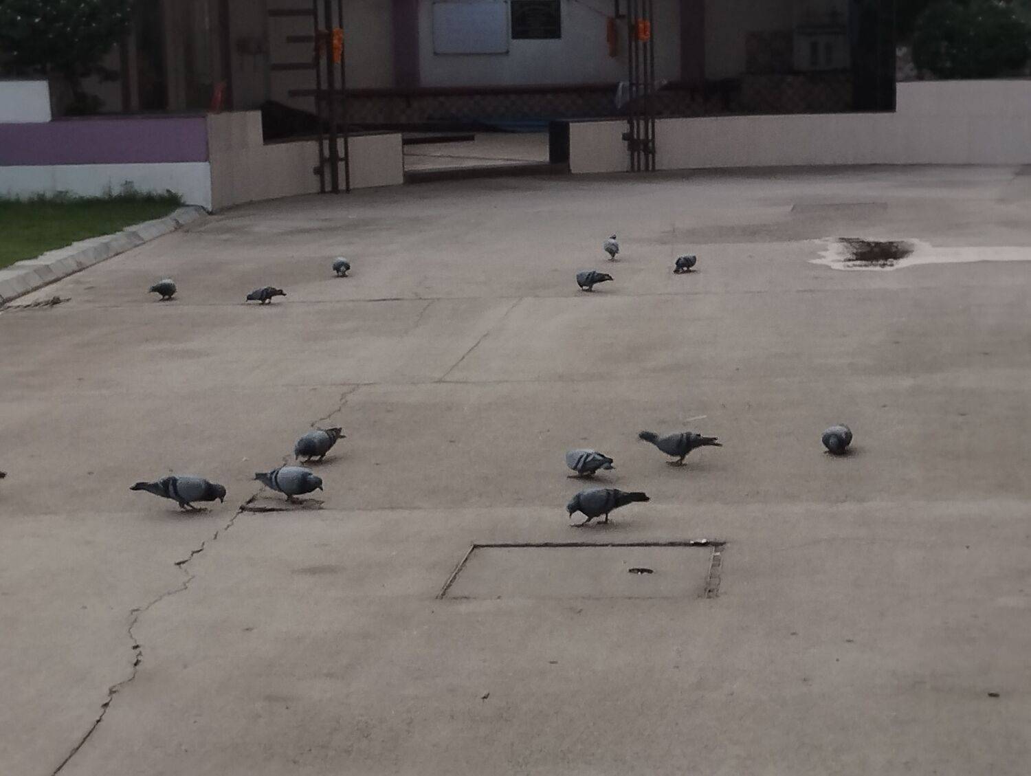Photo #12423722