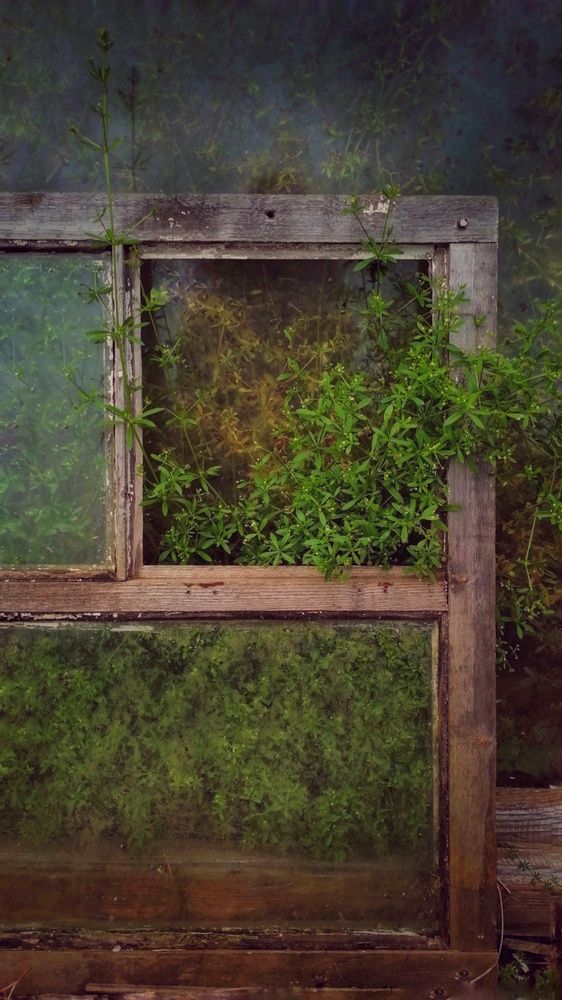 Photograph by Юлия Казимирова