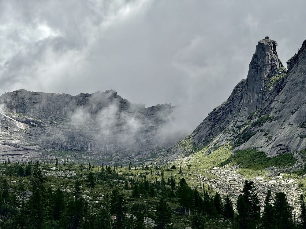 Photo #12423839