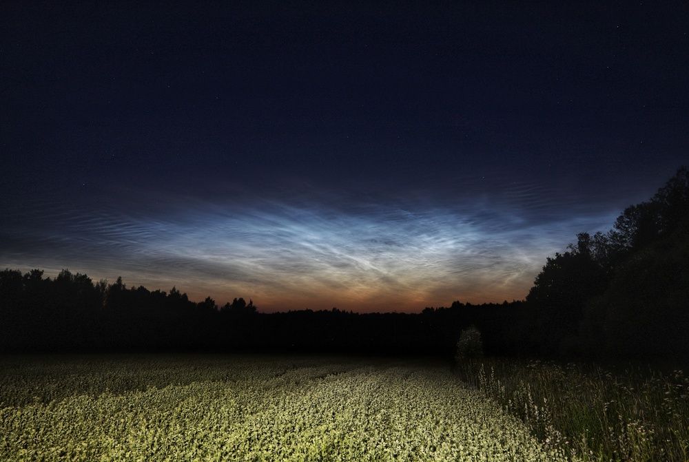 Фотография автора Роман Савин