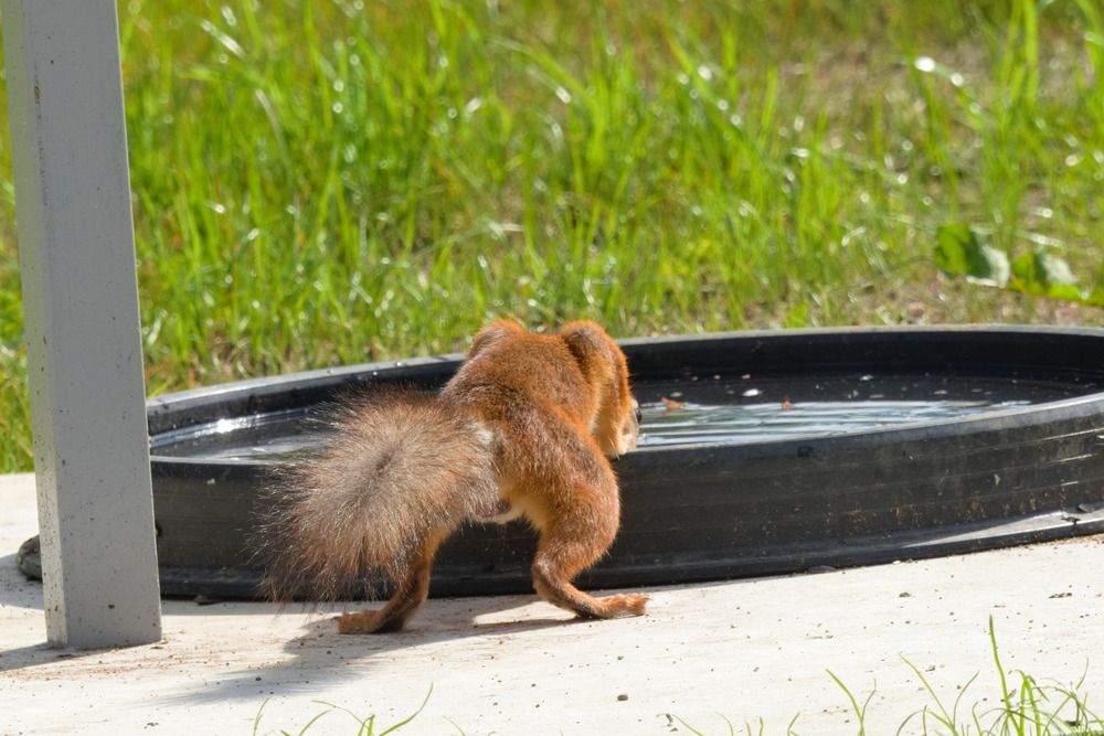 Photograph by Ольга Якубова