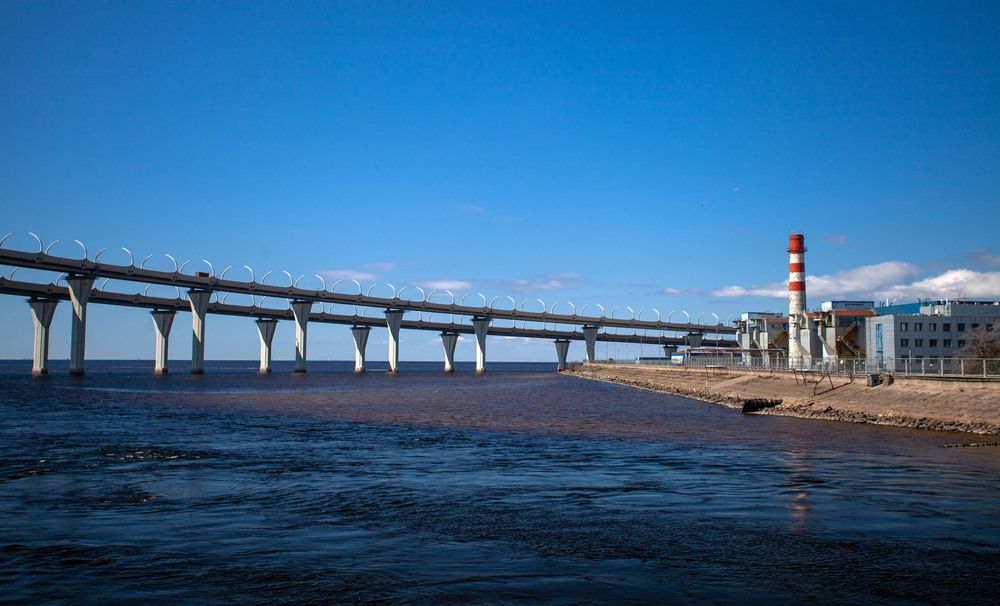 Фотография автора Анна Тихомирова