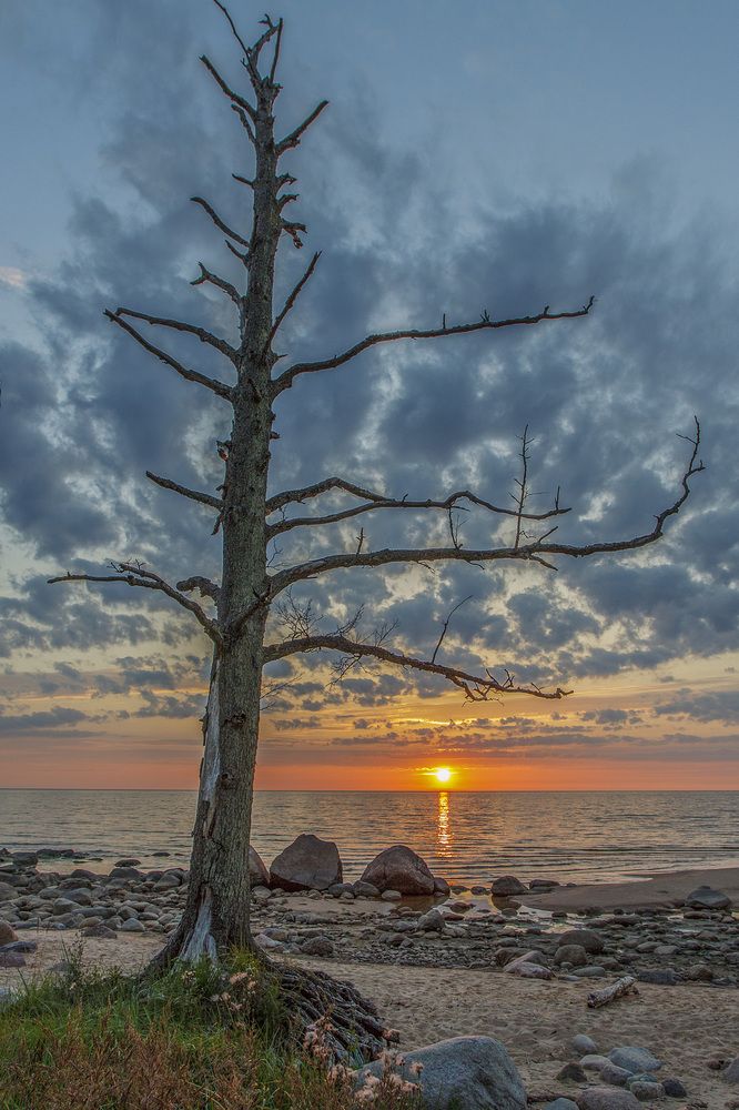 Photograph by Ivars Salmanis