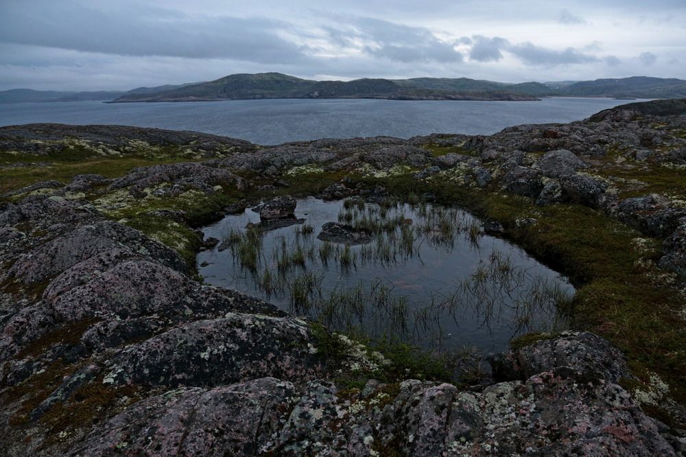 Фотография автора Александр Кожевников