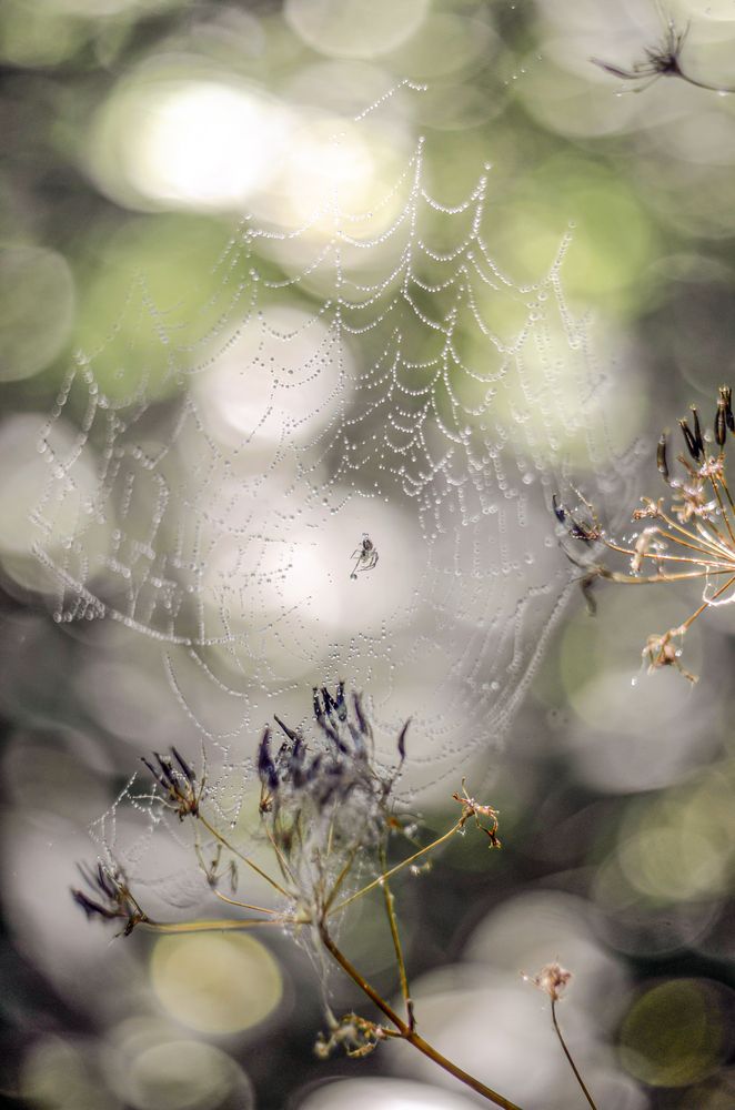 Photograph by Любовь Бусова