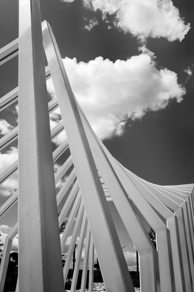 Фотография автора Зорин Миша