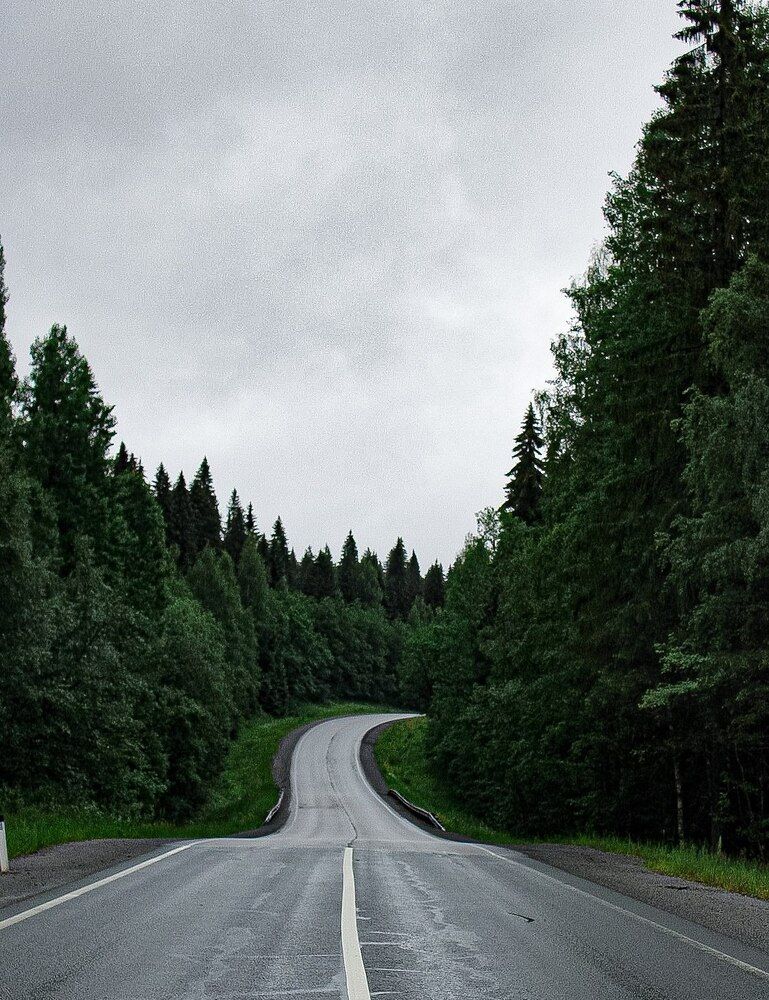 Фотография автора Олеся Молчанова
