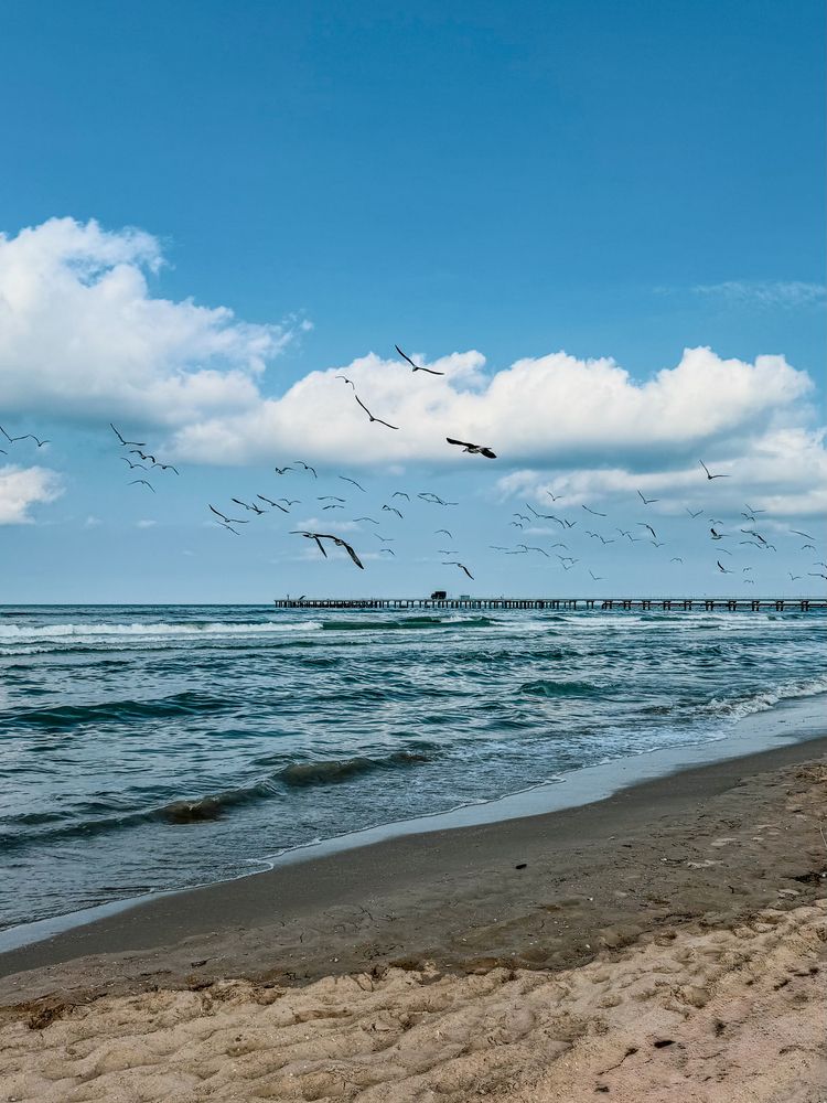 Photograph by Ekaterina Slepneva