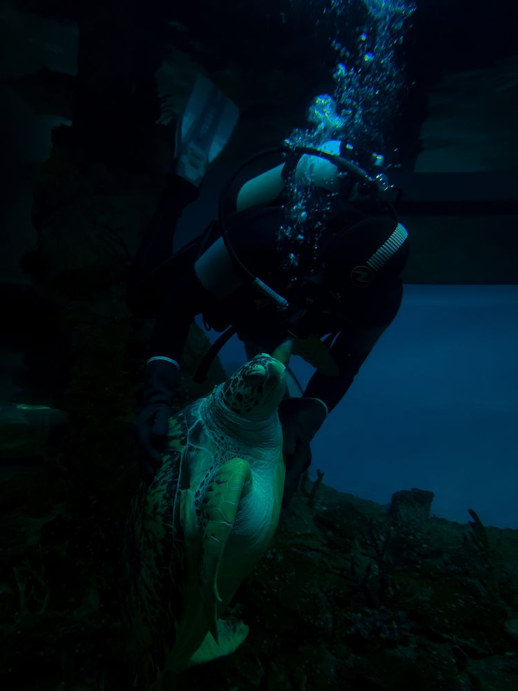 Photograph by Константин Шипицын