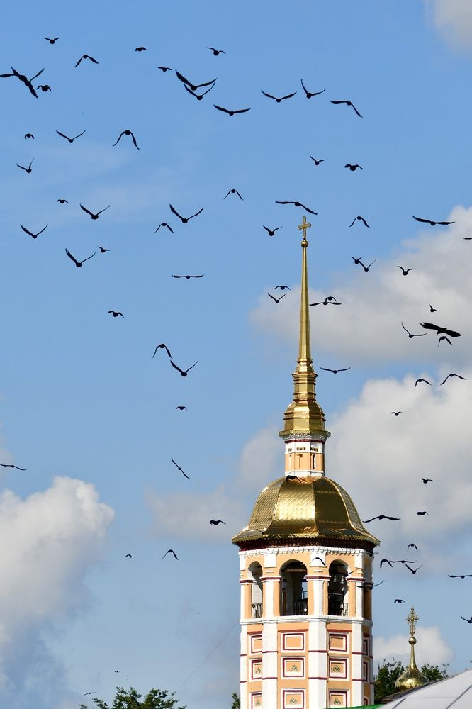Photograph by Светлана Поляничева