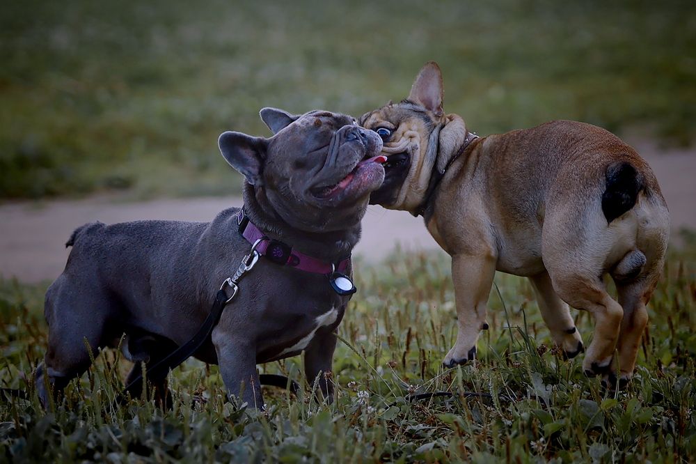 Photograph by Yana Egorova