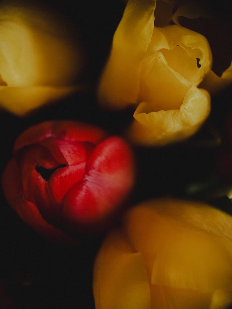 Photograph by Ляйсан Саляхиева