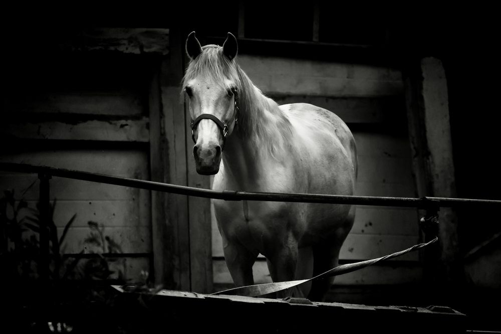 Photograph by Yana Egorova