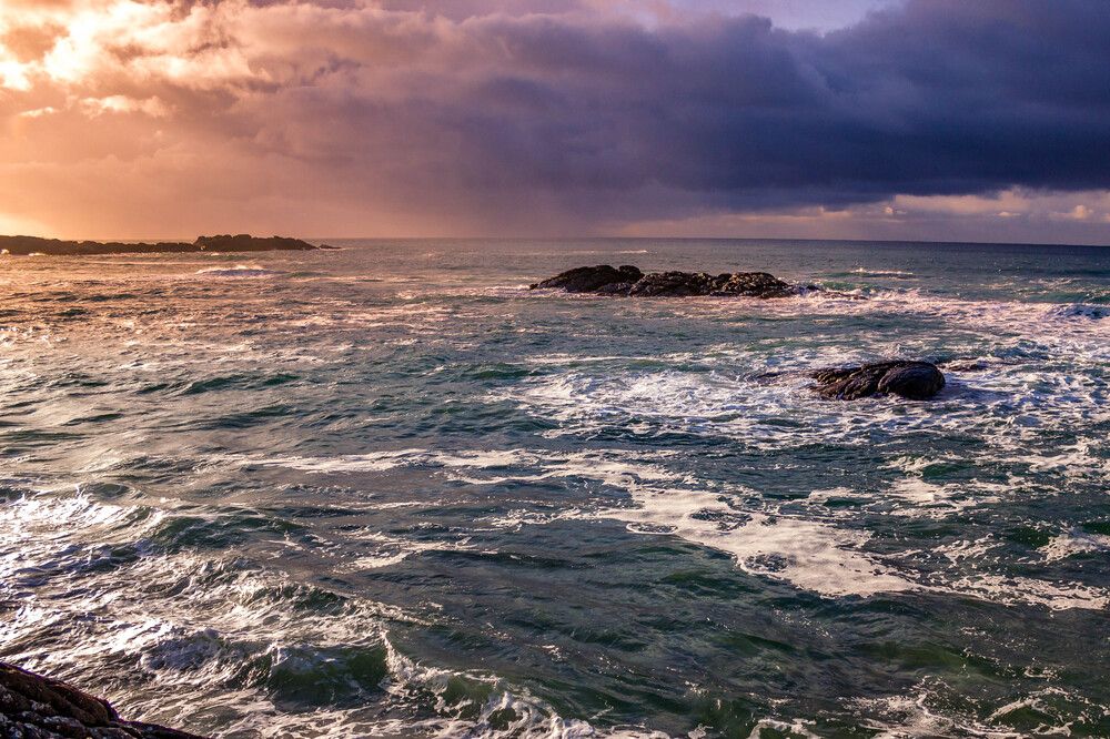 Фотография автора Minja Jovetic