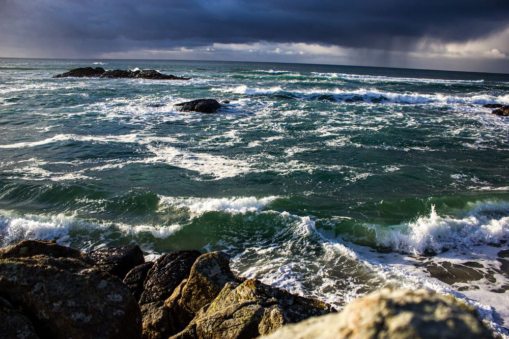 Фотография автора Minja Jovetic