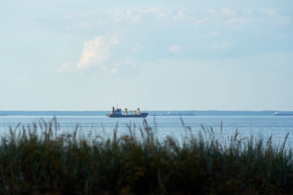 Фотография автора Dana Korolkova