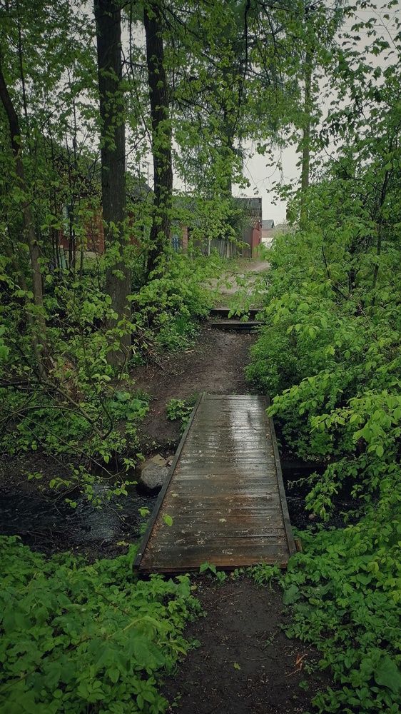 Photograph by Юлия Казимирова