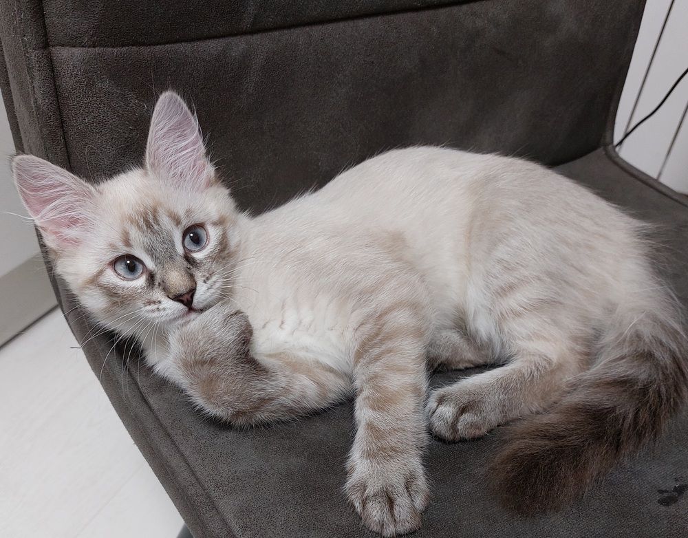 Photograph by Юлия Гусарова