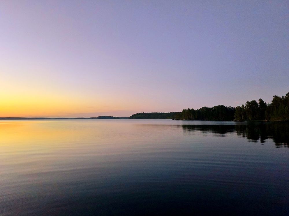 Photo #12424632