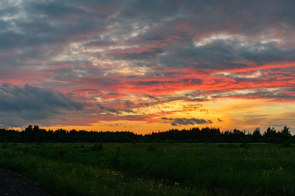 Вечер в Архангельской области
