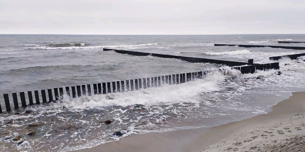 Photograph by Юлия Холомцева