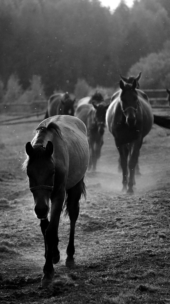 Photograph by Виктория Смехова