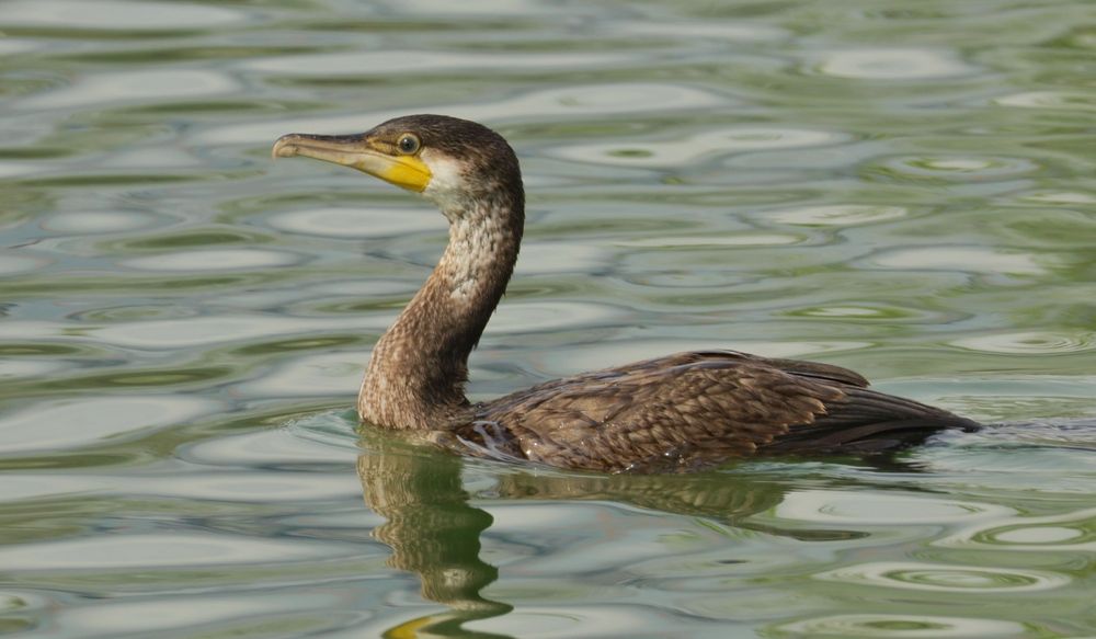 Photograph by Борис Захаров