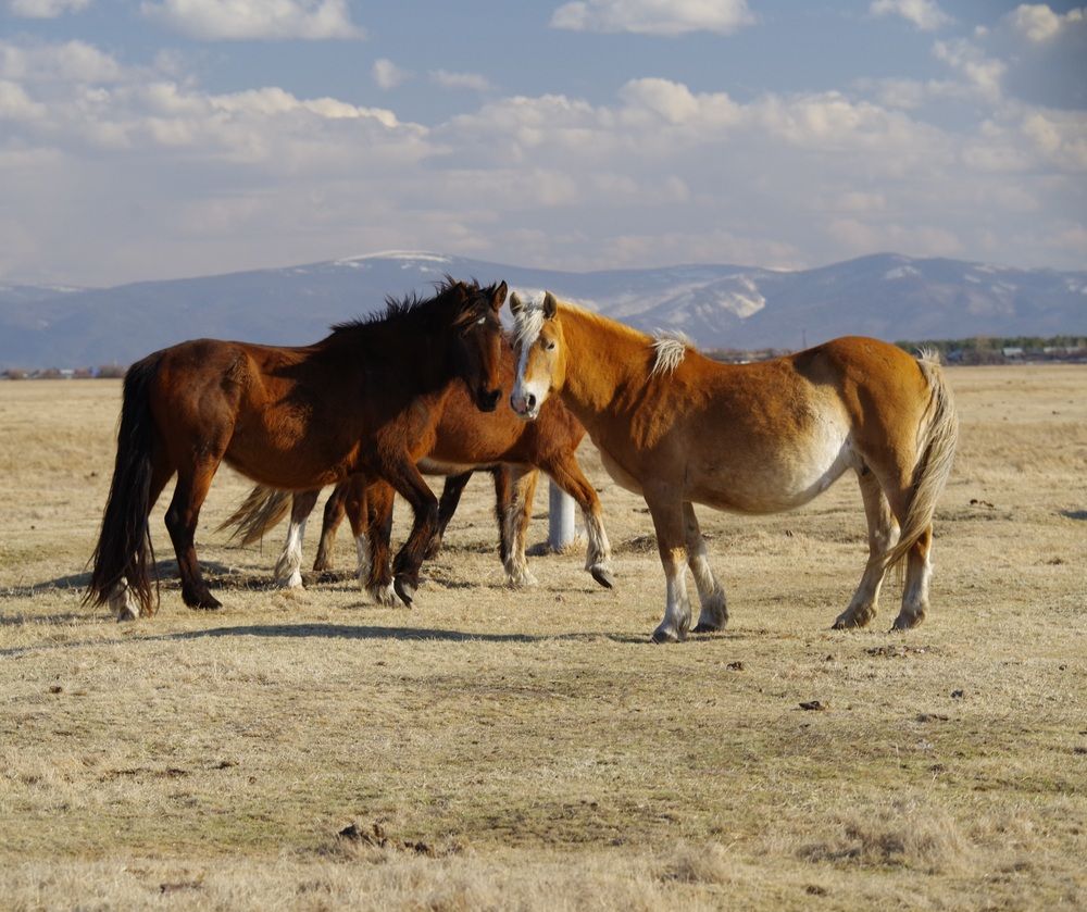 Photograph by Андрей Корытов