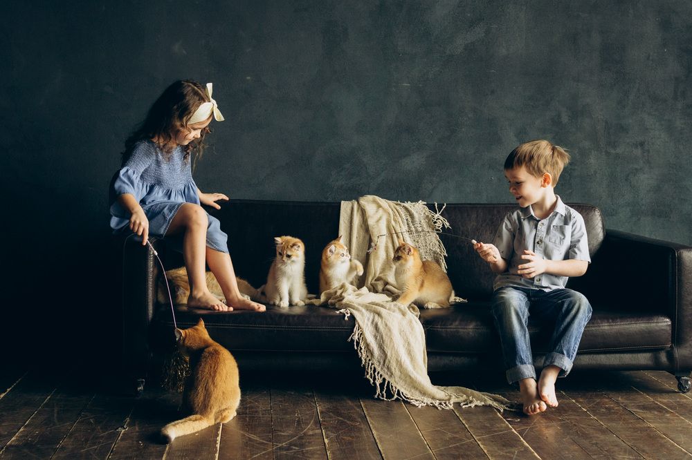 Photograph by Елена Павлова