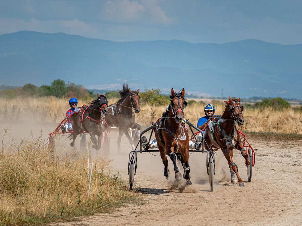 Фотография автора Елена Караилиева