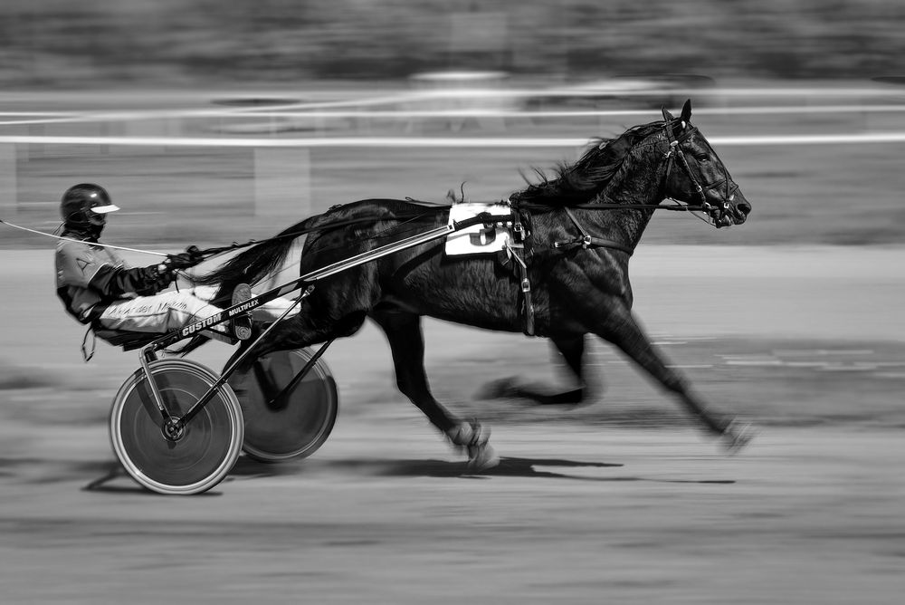 Photograph by Александр Перегудов