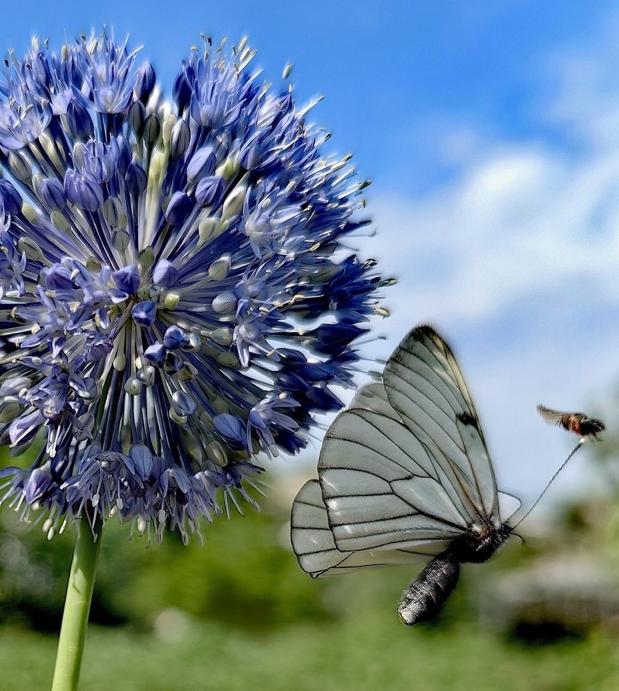 Случайность.