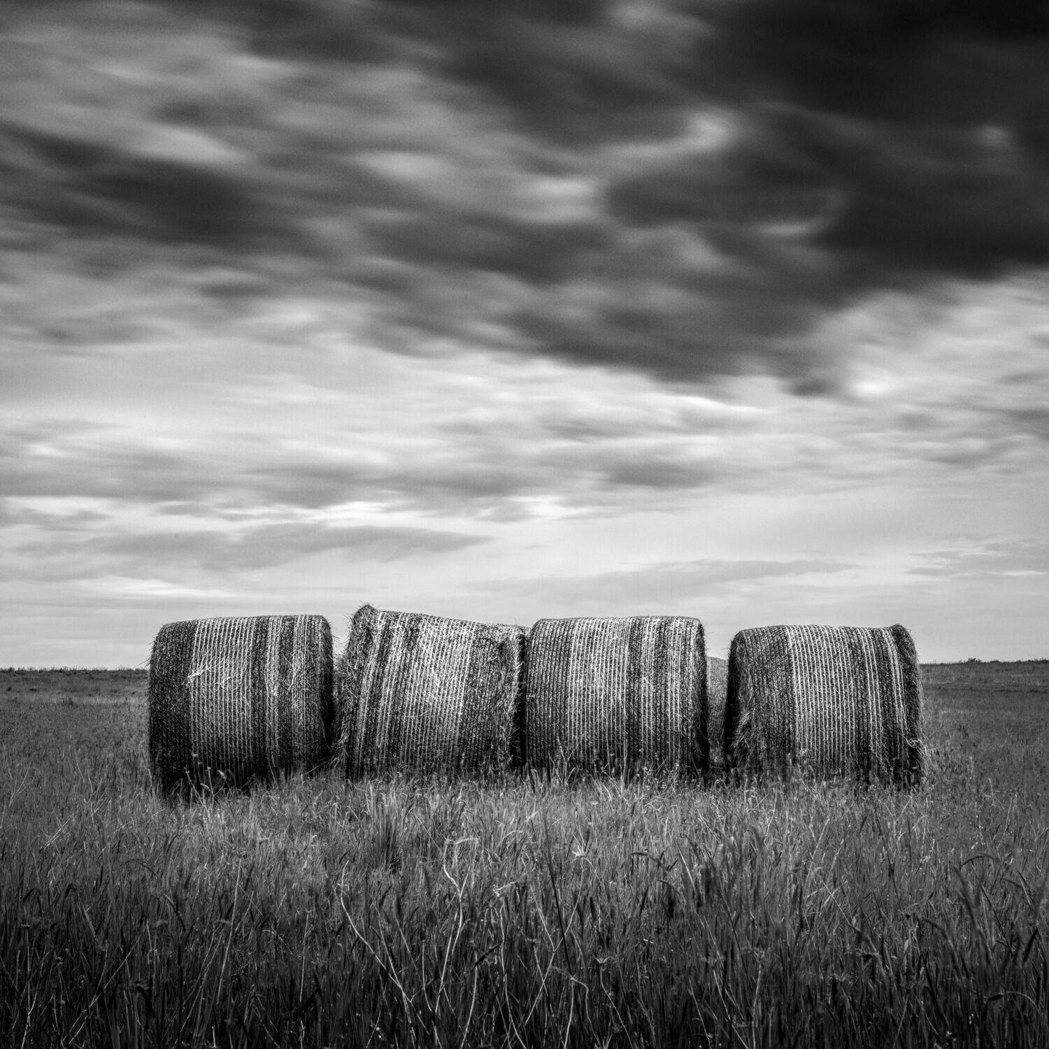 Фотография #12425054