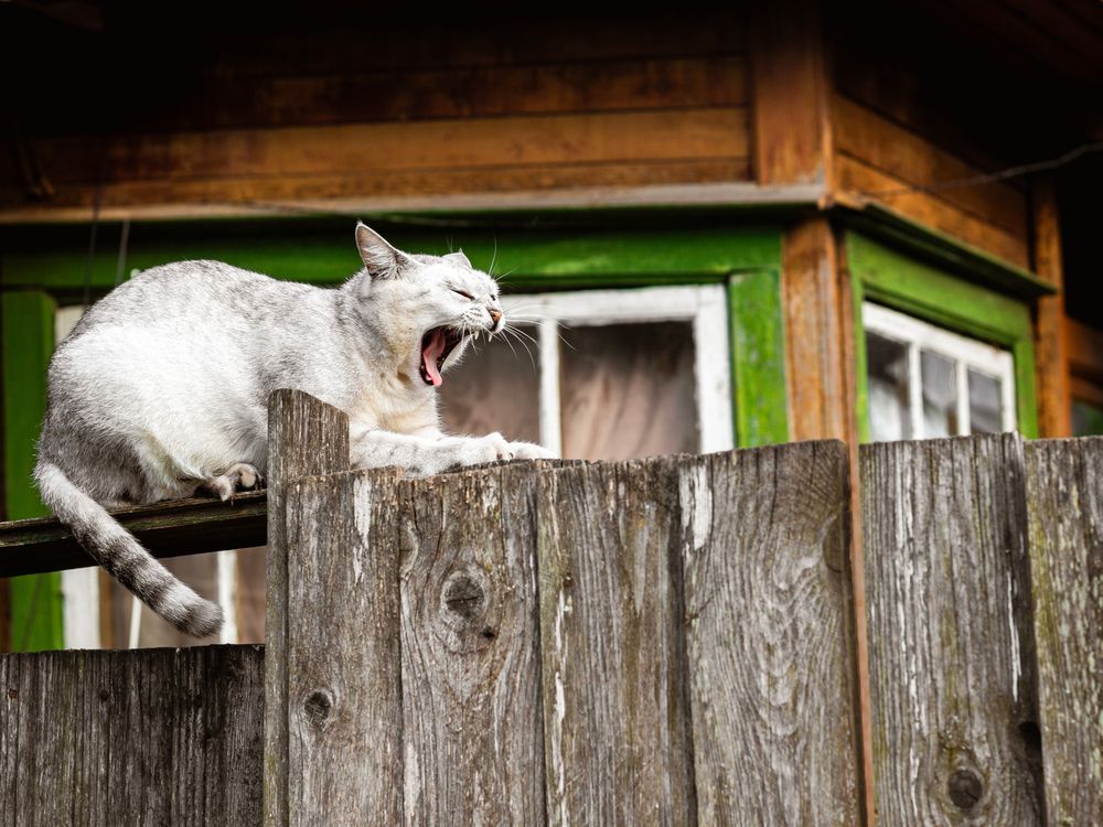 Photograph by Георгий Юркин