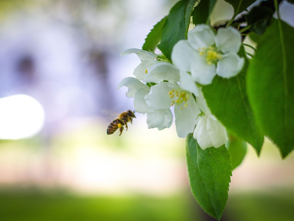 Photograph by Георгий Юркин