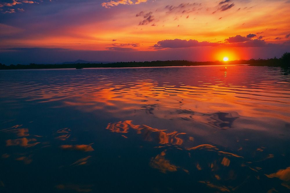 Photograph by Dewindu H. Fernando