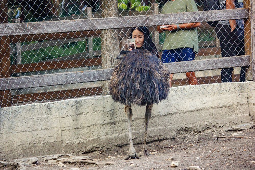 Photograph by Степан Конев