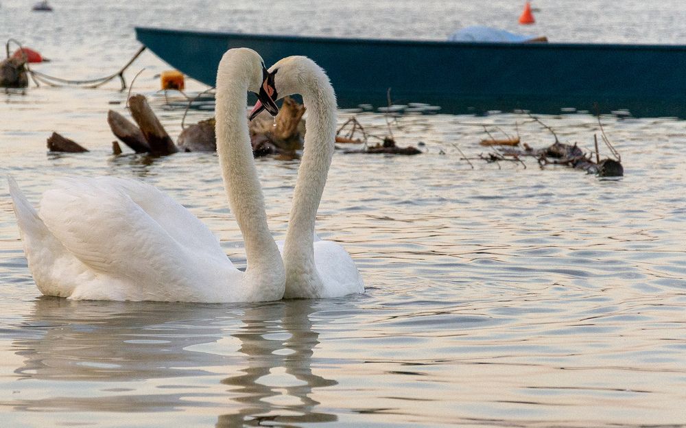 Photograph by Diony Alexander Sánchez Estevez