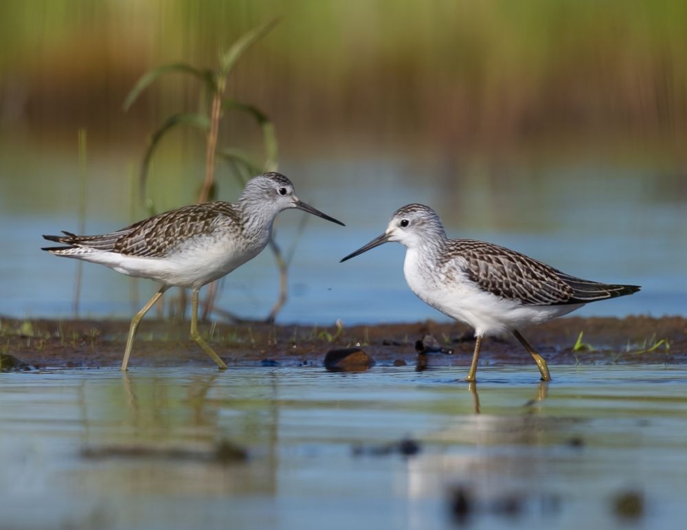 Photograph by Елена Хорохорина