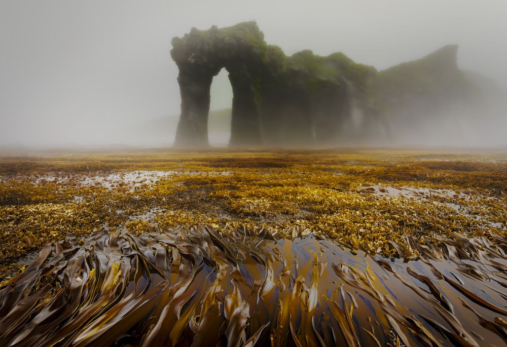 Photograph by Лаврентьев Александр