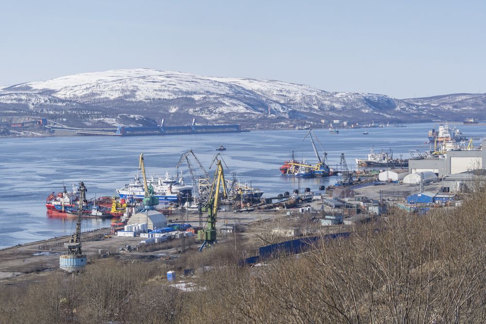 Photograph by Саиди Светлана