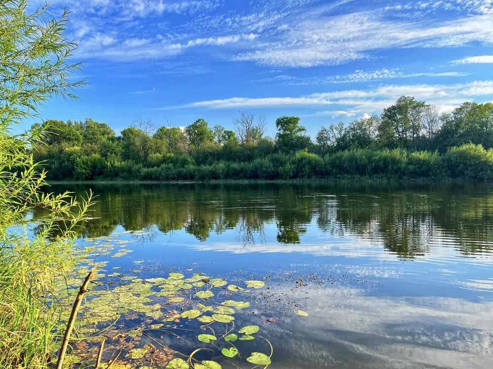 Photograph by Ирина Селиверстова