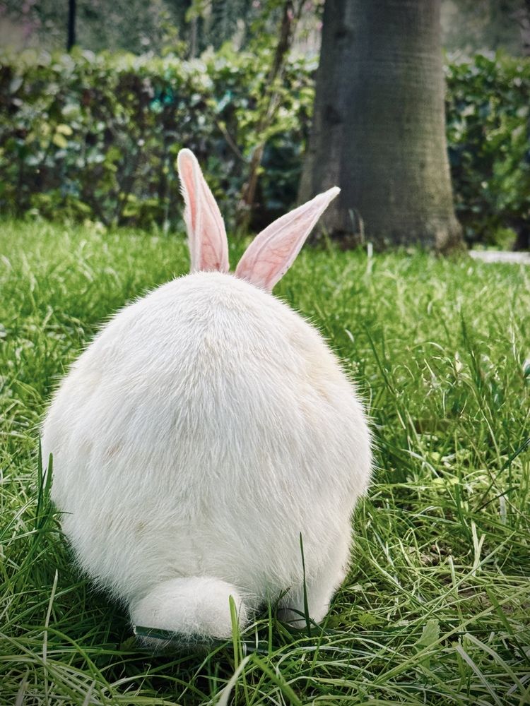 Photograph by Ксения Юртаева