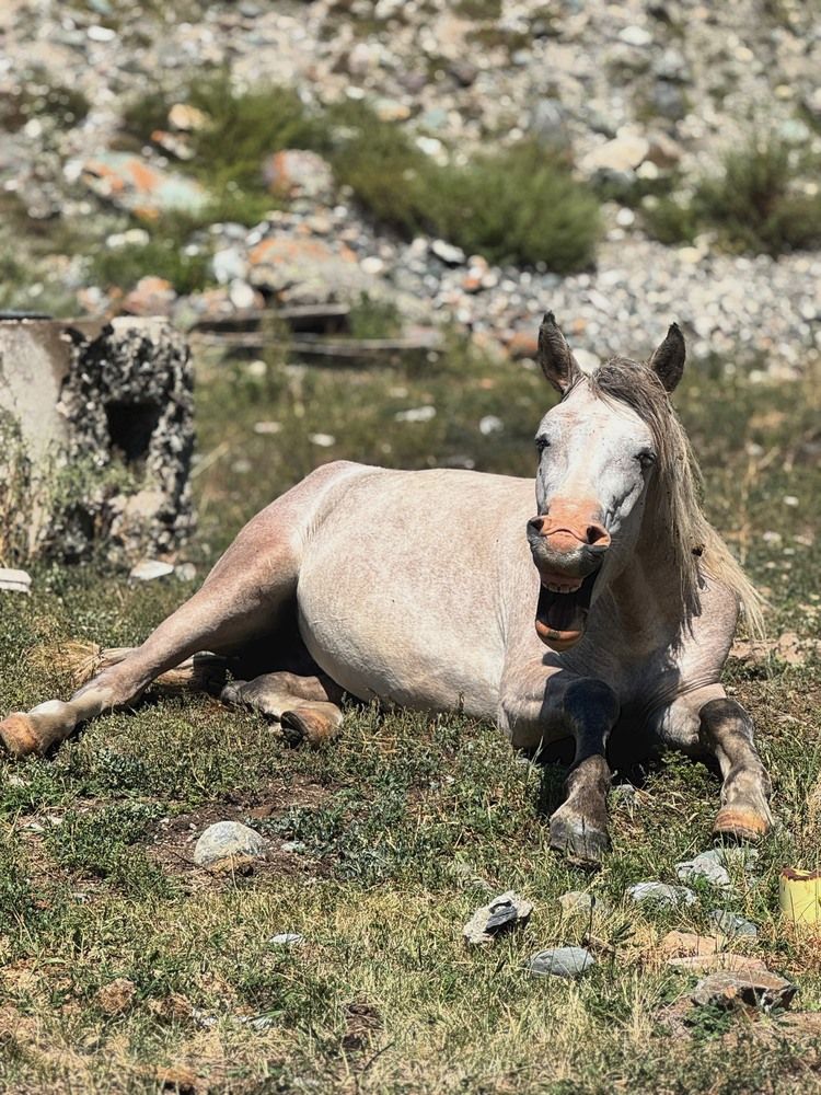 Photograph by Ксения Юртаева