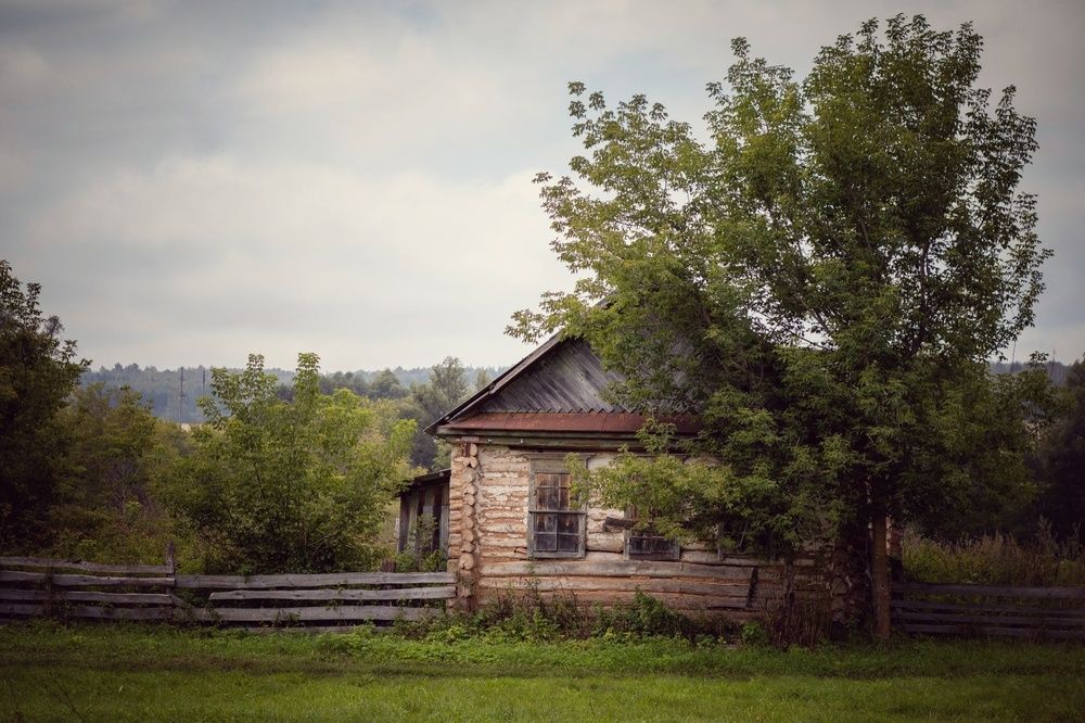 Photograph by Елена Григорьева