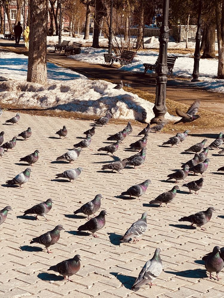 Photograph by Ксения Юртаева