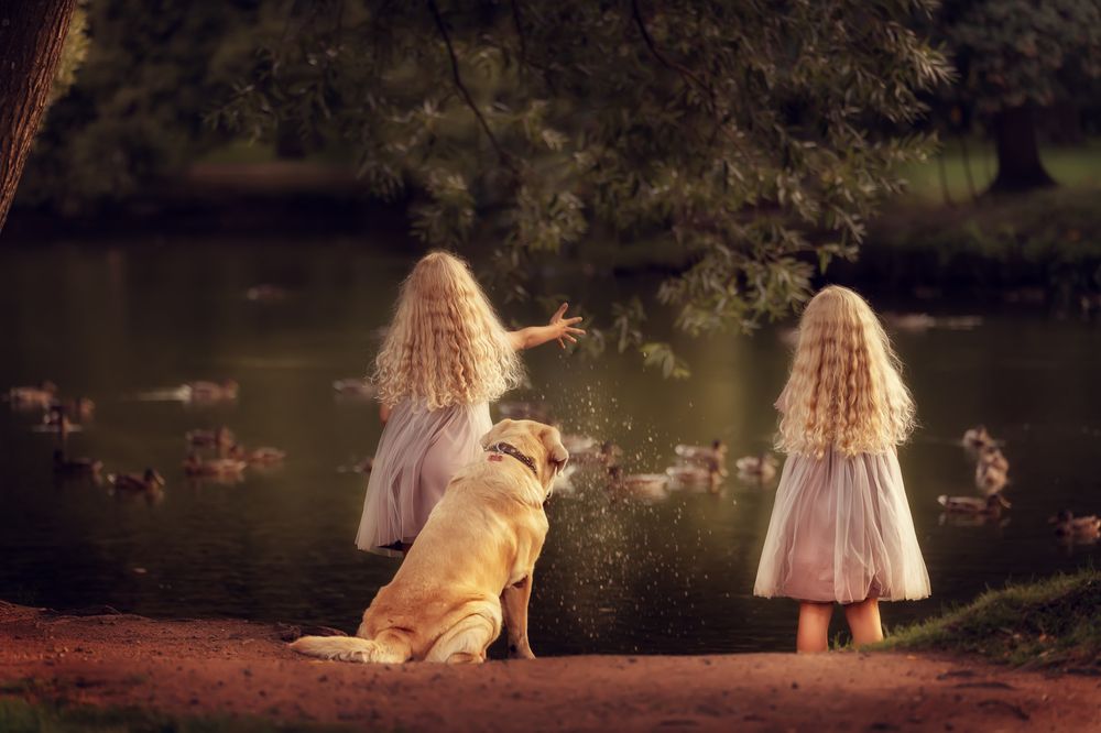 Photograph by Татьяна Дубова