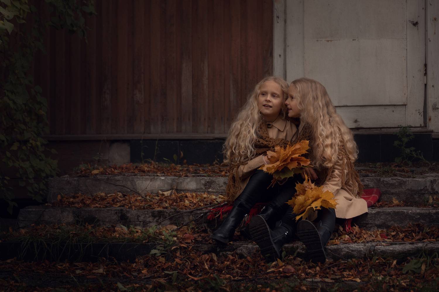 Фотография #12425602